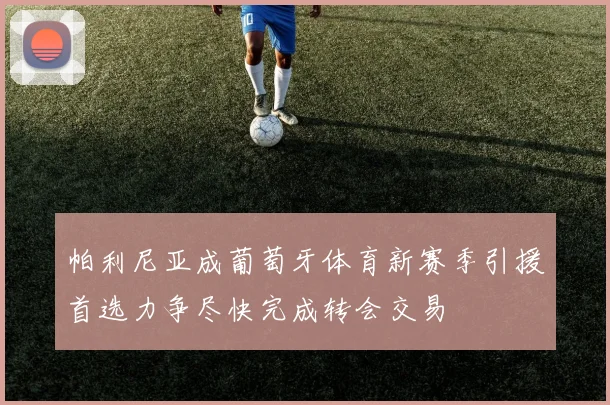 帕利尼亚成葡萄牙体育新赛季引援首选力争尽快完成转会交易